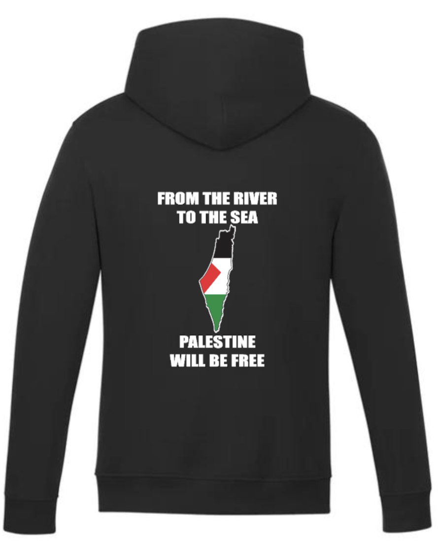 M4 Palestine Hoodie